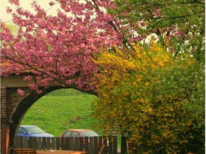 Foto: Villa Knöterich